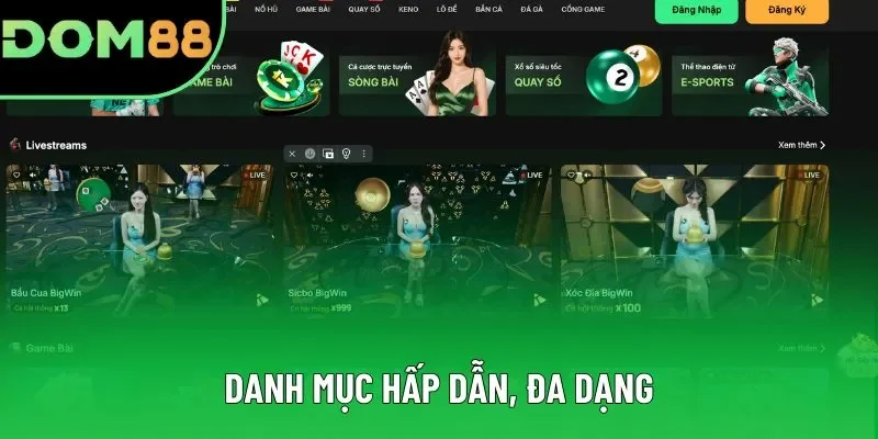 Danh mục hấp dẫn, đa dạng Danh mục hấp dẫn, đa dạng