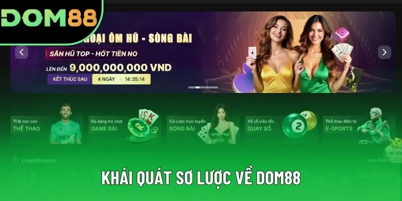 Khái quát sơ lược về DOM88 Khái quát sơ lược về DOM88